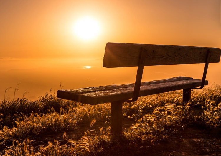 Harness as much of the sun as possible by keeping your solar panels clean
